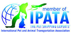 IPATA
